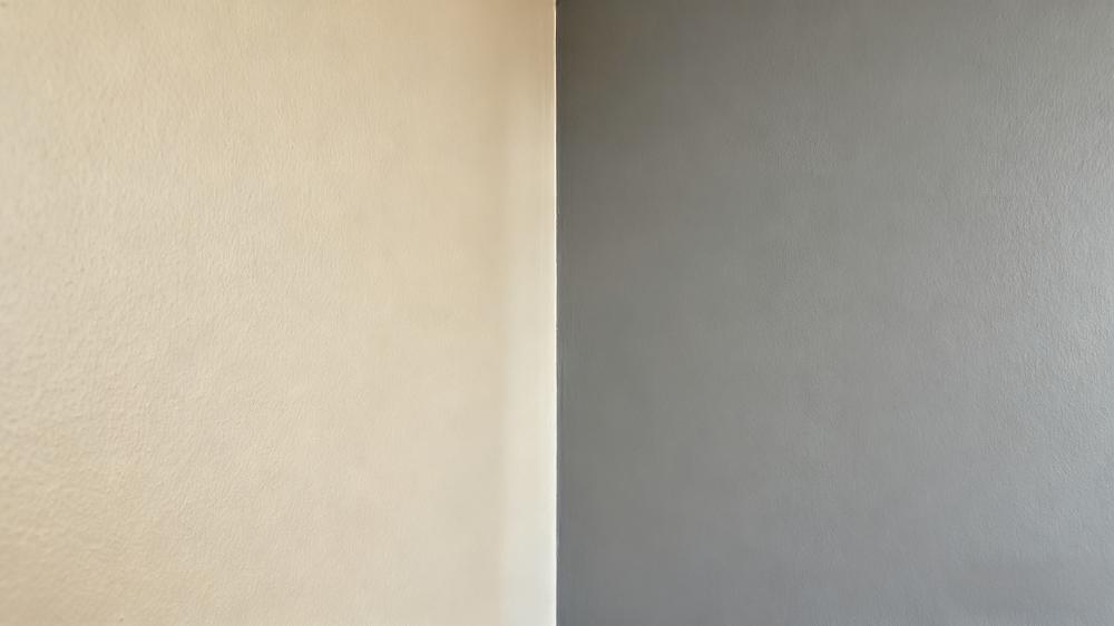 accessible beige vs agreeable gray accessible beige vs agreeable gray